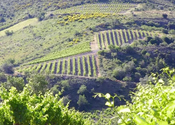 Coeur De Maison De Village Atypique Avec Terrasse
